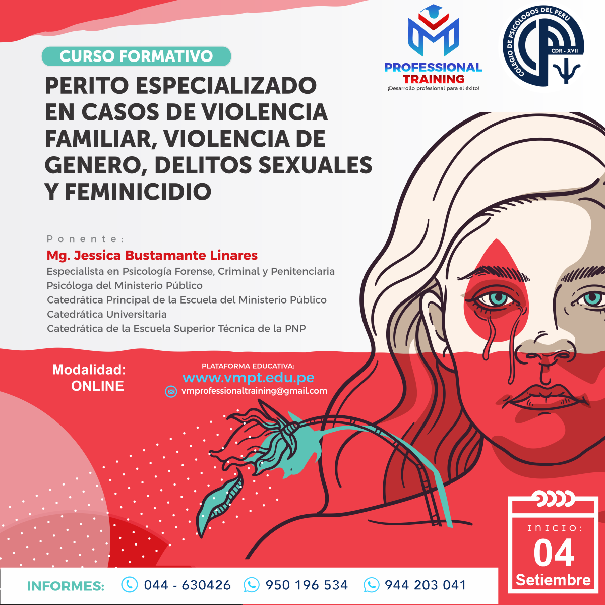 CURSO FORMATIVO PERITO ESPECIALIZADO EN CASOS DE VIOLENCIA FAMILIAR, VIOLENCIA DE GÉNERO, DELITOS SEXUALES Y FEMINICIDIO