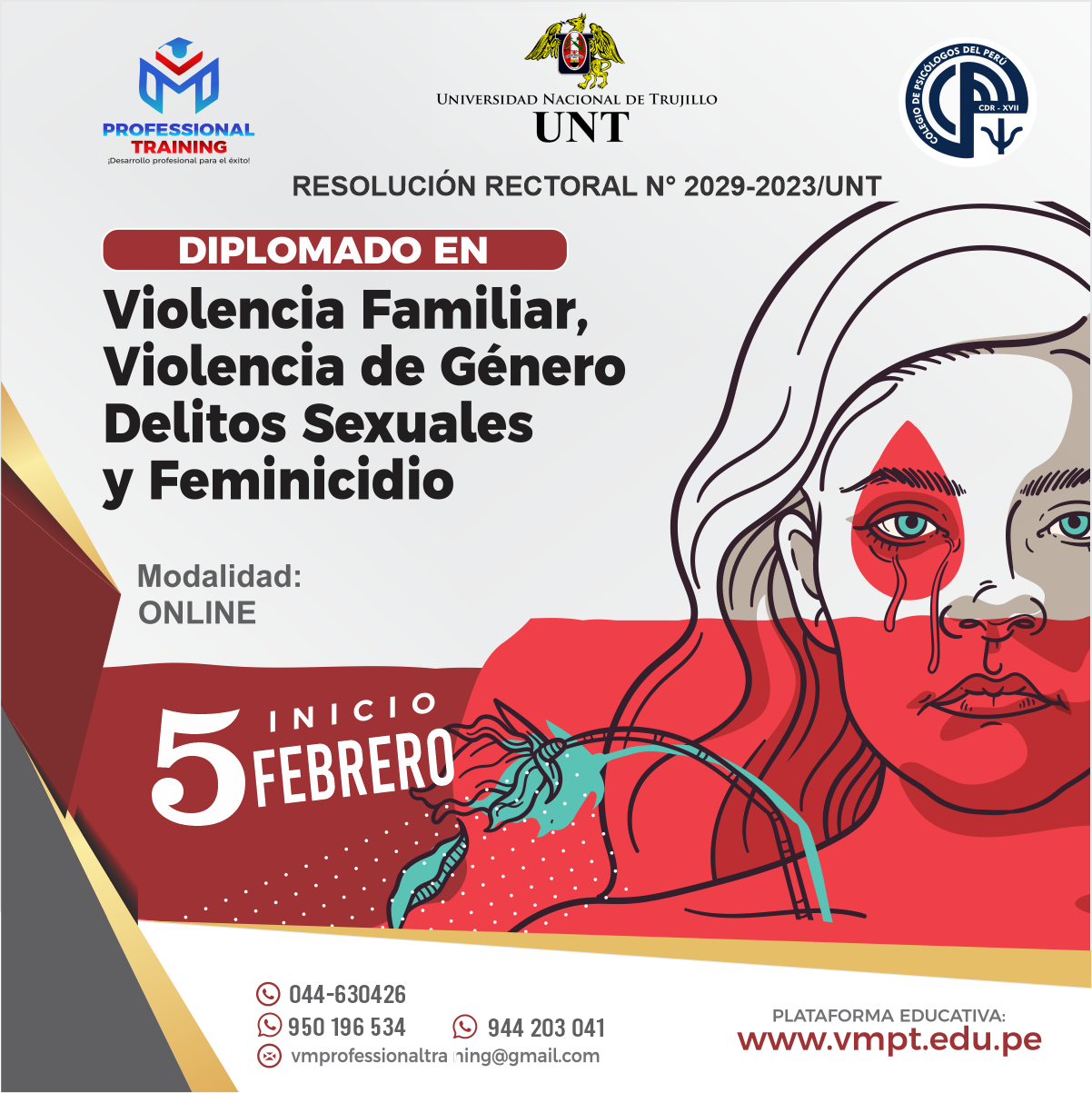 DIPLOMADO EN VIOLENCIA FAMILIAR, VIOLENCIA DE GÉNERO, DELITOS SEXUALES Y FEMINICIDIO 2024.