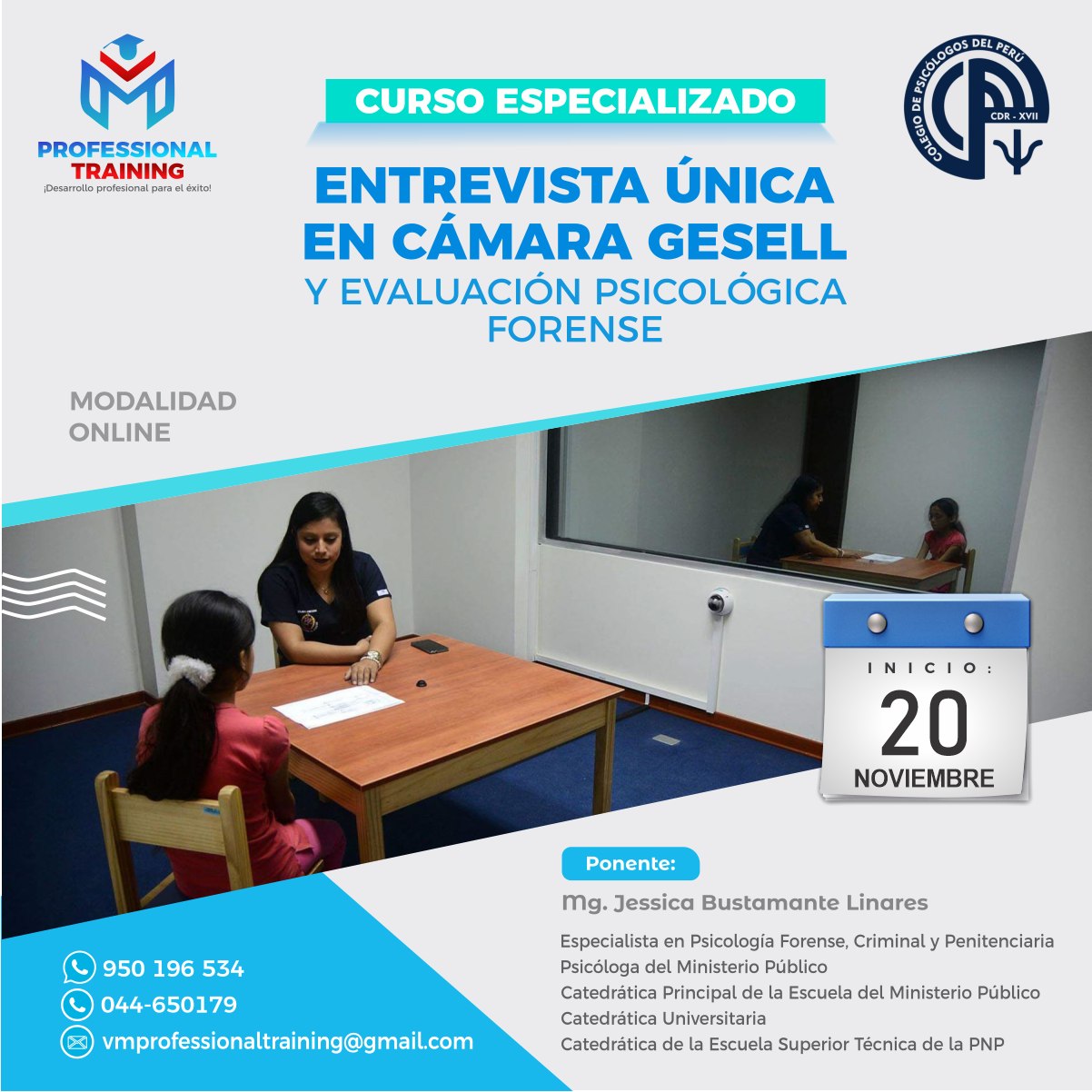 CURSO ESPECIALIZADO ENTREVISTA ÚNICA EN CÁMARA GESELL 2024