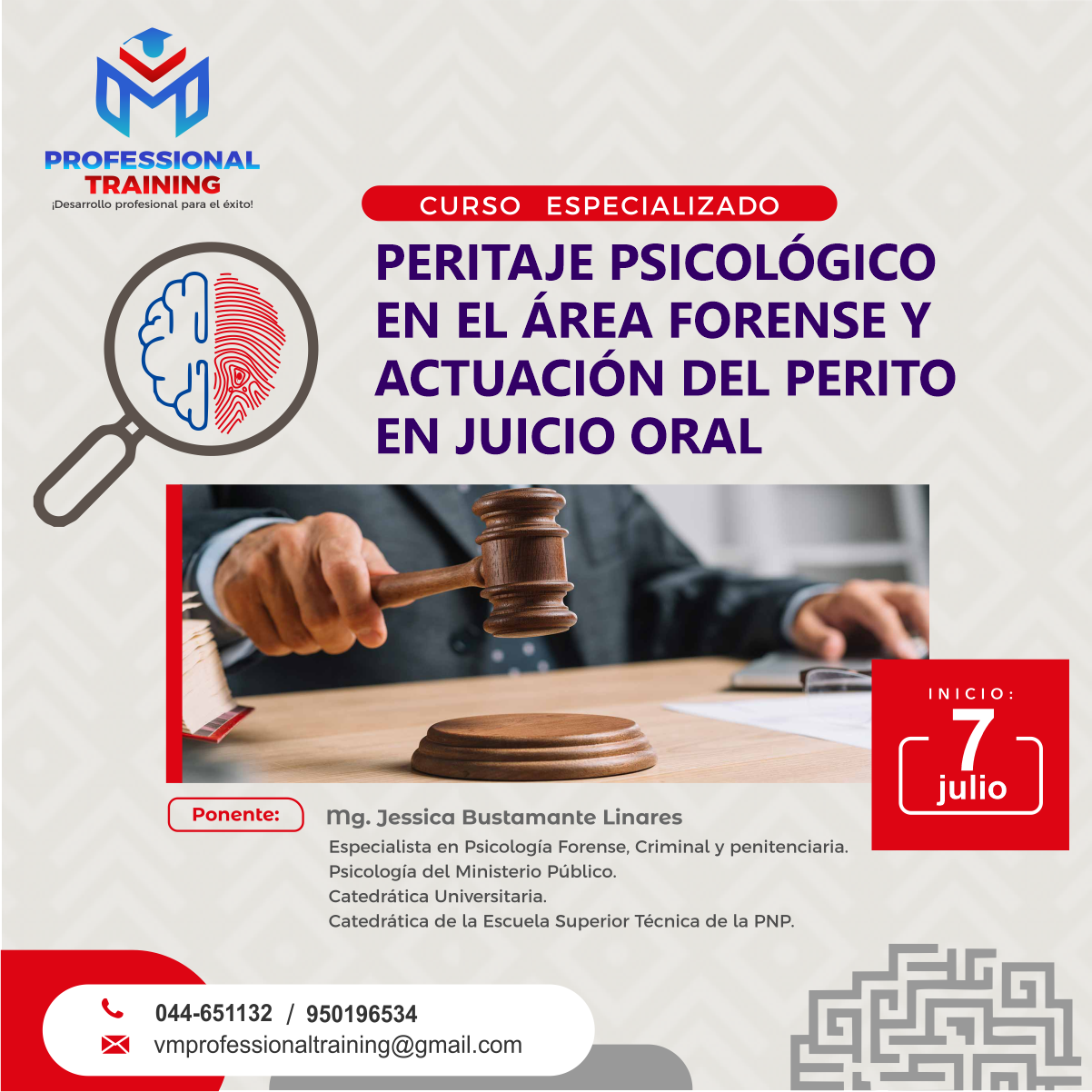 Curso Especializado PERITAJE PSICOLÓGICO EN EL ÁREA FORENSE  Y ACTUACIÓN DEL PERITO EN JUICIO ORAL. 