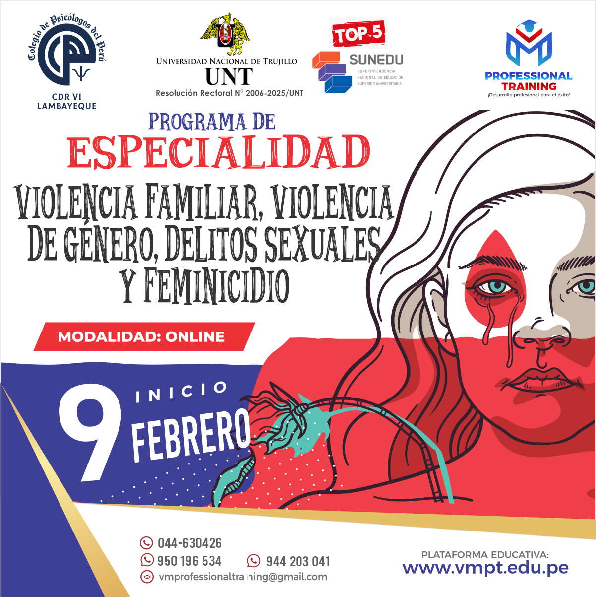 PROGRAMA DE ESPECIALIDAD EN VIOLENCIA FAMILIAR, VIOLENCIA DE GÉNERO, DELITOS SEXUALES Y FEMINICIDIO.